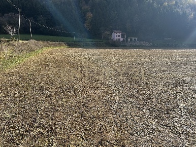Foto Terreno edificabile in Via Don Giovanni Calabria, Tregnago Cogollo