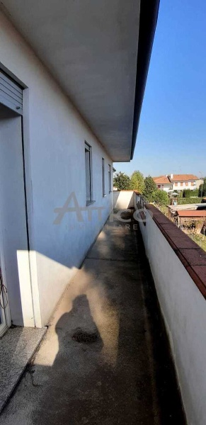 immagine annuncio 10 di 14