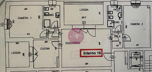 immagine annuncio 10 di 13