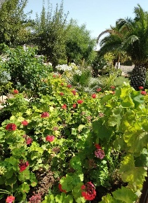 Foto Terreno agricolo in C.da Trippatore, Scicli di 1400 m² in vendita