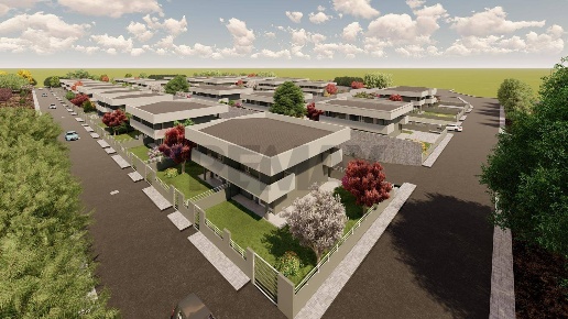 immagine annuncio 1 di 14