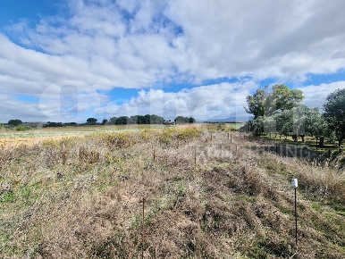 Foto Terreno agricolo in Strada provinciale 9 snc, Sestu di 4125 m²