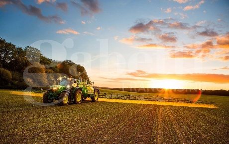 Foto Terreno agricolo a Pontelongo di 43416 m² in vendita