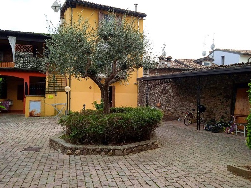 immagine annuncio 10 di 15