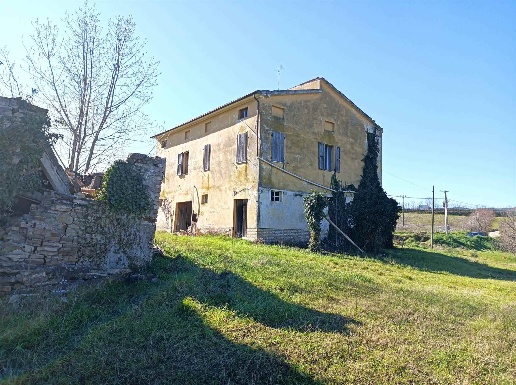 immagine annuncio 4 di 14