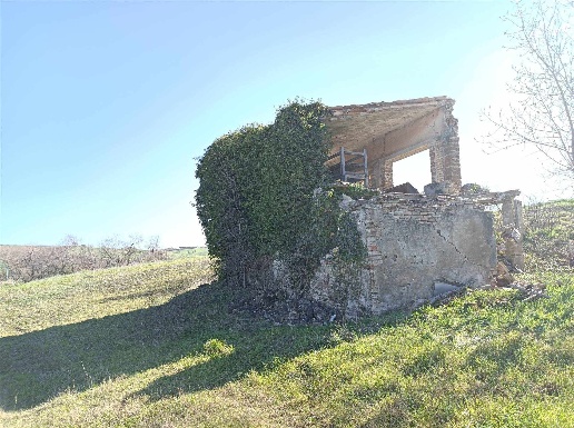 immagine annuncio 8 di 14