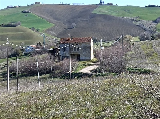 immagine annuncio 10 di 14