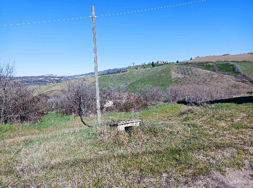 immagine annuncio 11 di 14