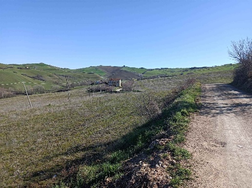 immagine annuncio 12 di 14