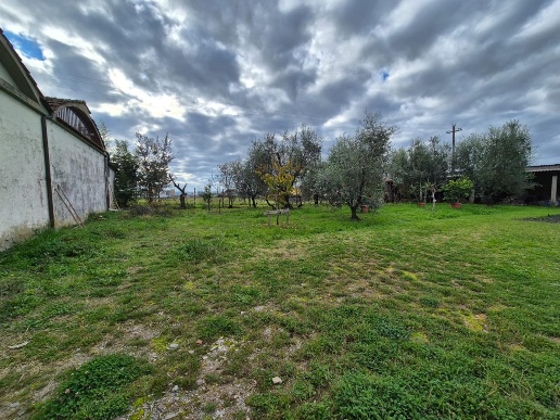 immagine annuncio 12 di 14