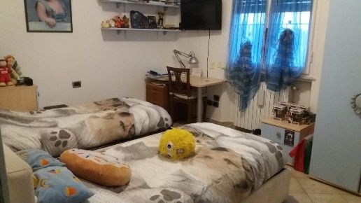 immagine annuncio 7 di 11