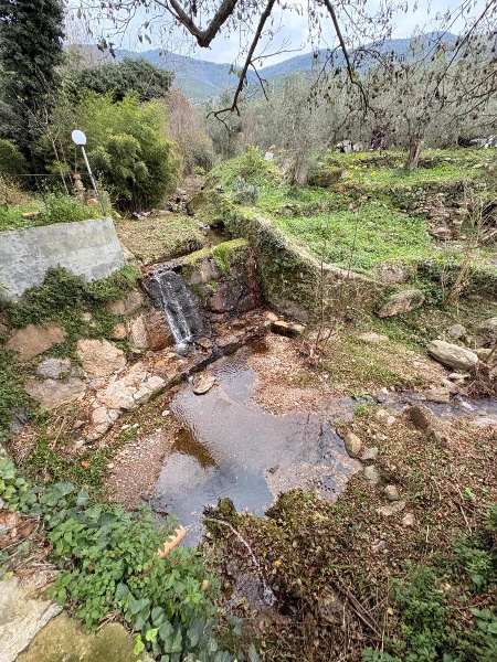 immagine annuncio 2 di 4