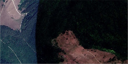 Foto Case indipendenti in Strada Monte Paganuccio, Cagli di 62 m² all'asta