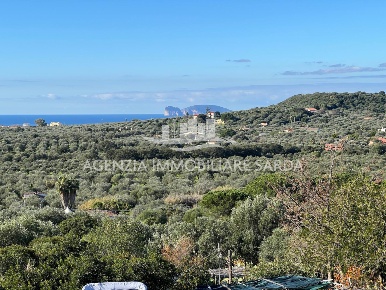 Foto Rustico a Alghero Sant'Agostino di 100 m² con 3 locali in vendita