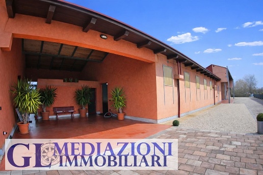 immagine annuncio 2 di 13