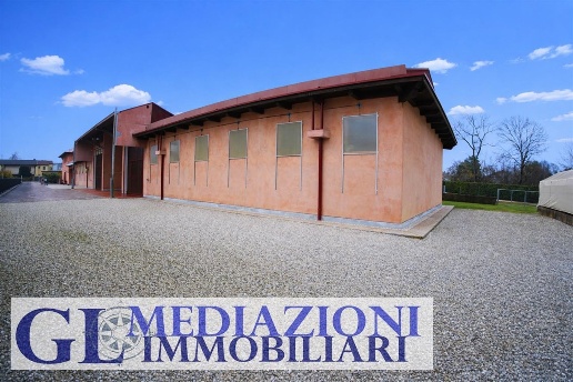 immagine annuncio 5 di 13