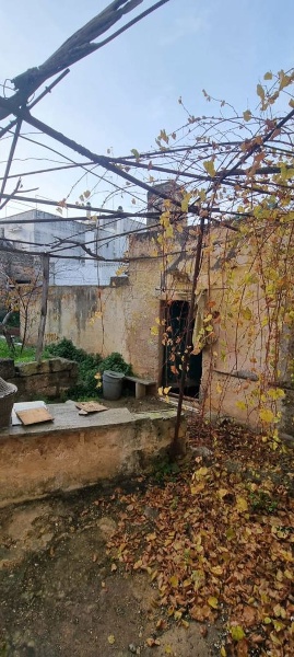 immagine annuncio 3 di 4