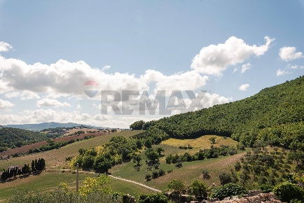 Foto Terreno agricolo in Contrada Villanova, Apiro di 28631 m² in vendita