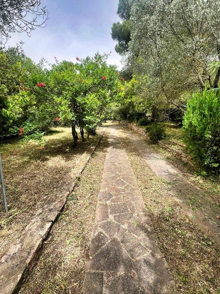 immagine annuncio 10 di 14