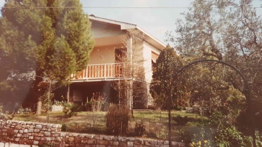 immagine annuncio 13 di 14