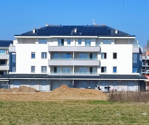 immagine annuncio 12 di 14