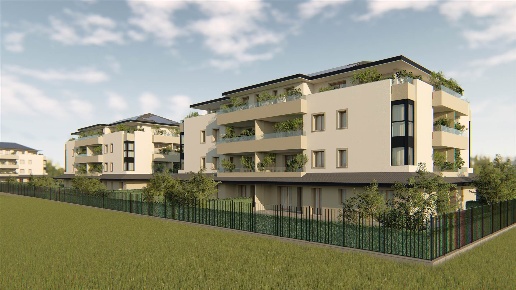 immagine annuncio 5 di 14