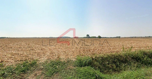 Foto Terreno agricolo a Nogara in vendita