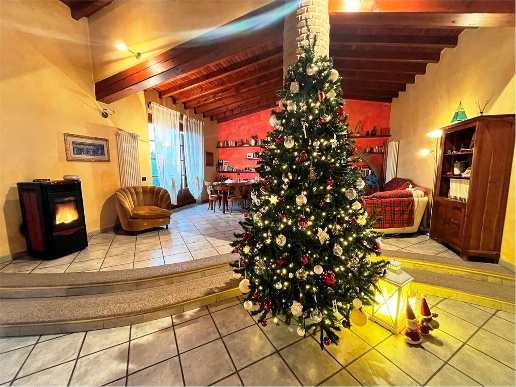 casa indipendente in vendita a Borgarello