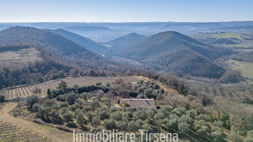 Foto Casale a Orvieto di 290 m² con 7 locali in vendita