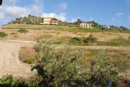 Foto Cessione attività in Via Torino 9, Satriano di 15900 m² con 1 locali