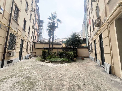 immagine annuncio 1 di 14