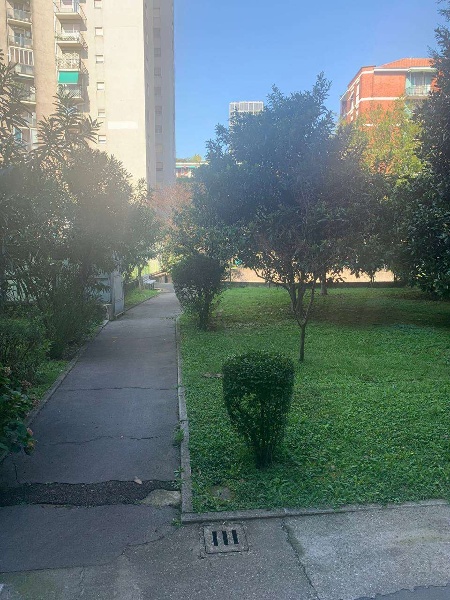 immagine annuncio 5 di 14