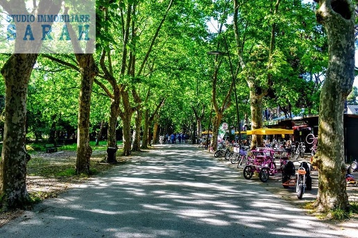 immagine annuncio 9 di 14