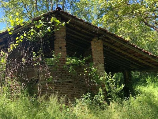 immagine annuncio 4 di 9