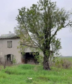 Foto Case indipendenti in Via bagnolo Salara, Ravenna Castiglione di 184 m²