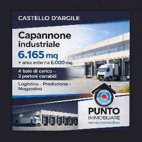 Foto Capannone industriale in via einaudi, Castello d'Argile Centro