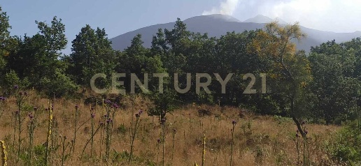 Foto Terreno agricolo in C.da Filiciusa, Biancavilla di 38 m² in vendita