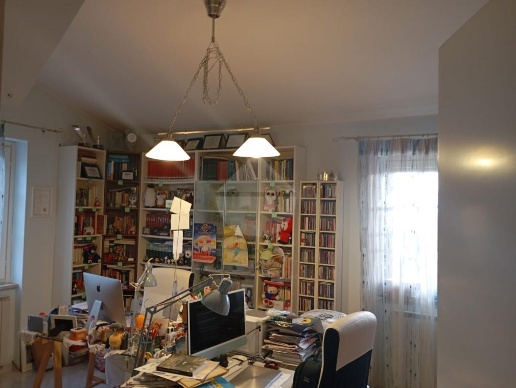 immagine annuncio 10 di 15