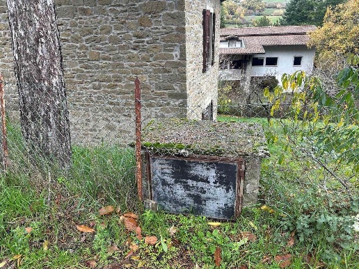 immagine annuncio 2 di 13