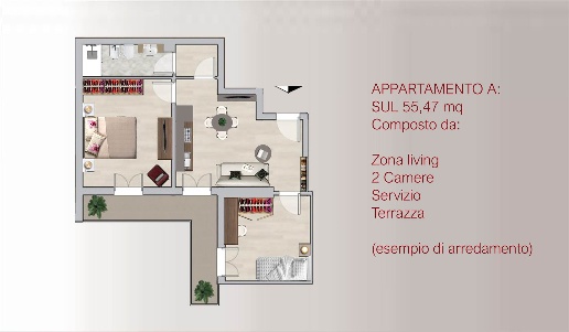 immagine annuncio 10 di 11