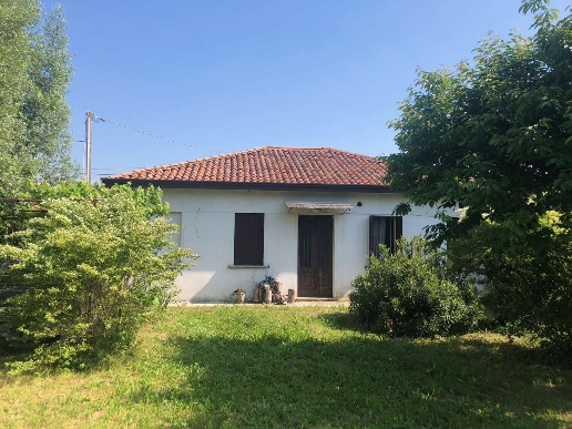 immagine annuncio 2 di 8