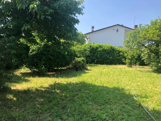 immagine annuncio 6 di 8