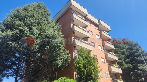 Foto Appartamento in Via Angelo Brelich 20, Roma Tor Vergata di 15 m²