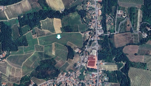 Foto Terreno agricolo a Montescano di 31790 m² in vendita