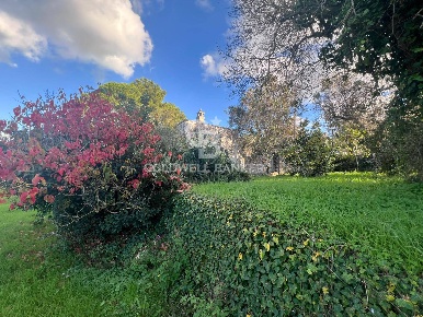 Foto Terreno agricolo in Contrada Boccadoro, Ostuni di 10923 m² in vendita
