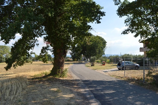 immagine annuncio 6 di 14