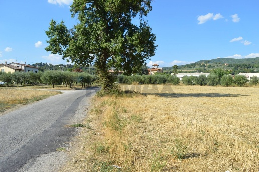 immagine annuncio 7 di 14