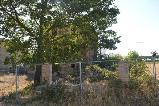 immagine annuncio 11 di 14