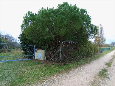 Foto Terreno agricolo a Rimini Sant'Aquilina di 9000 m² in vendita