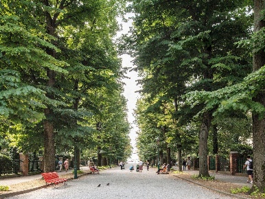 Foto Appartamento a Venezia Arsenale - Giardini della Biennale di 145 m²